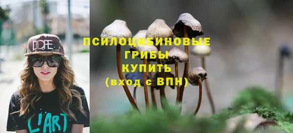 твердый Покровск