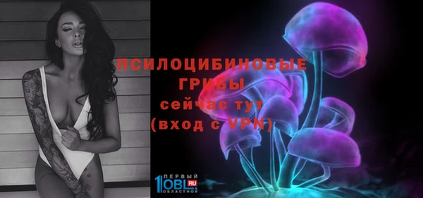 кристаллы Покачи