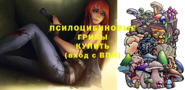 твердый Покровск