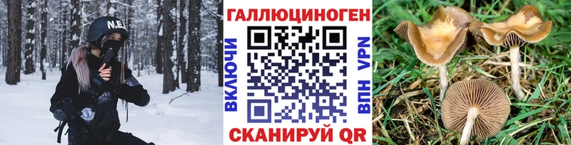 Галлюциногенные грибы MAGIC MUSHROOMS  Пойковский 